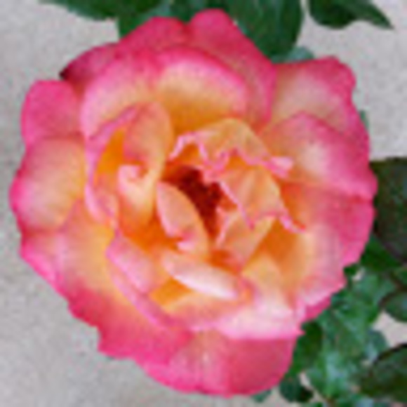 donna1058